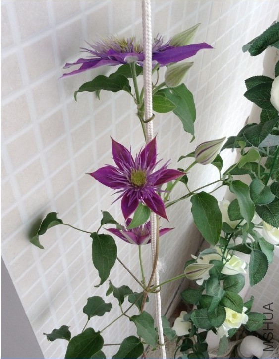 QQ��ͼ20130927080552.jpg