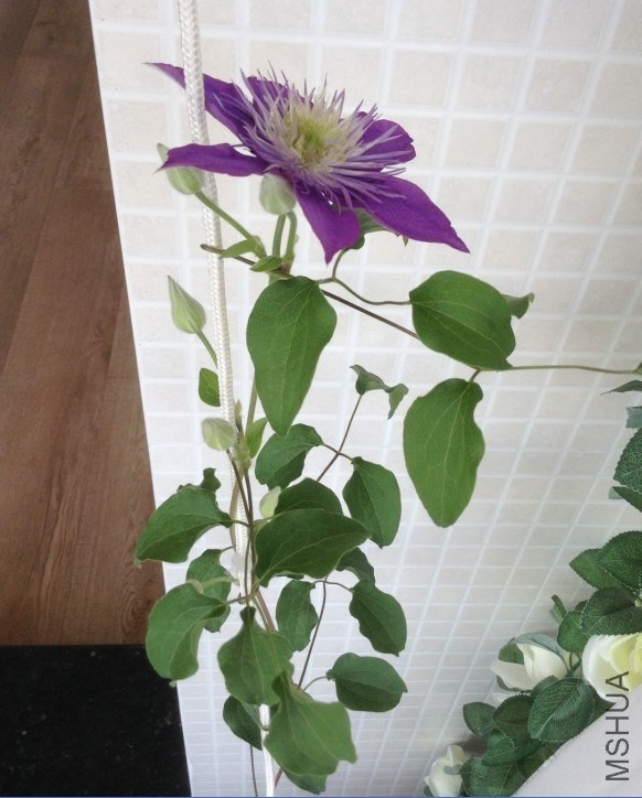 QQ��ͼ20130927080602.jpg