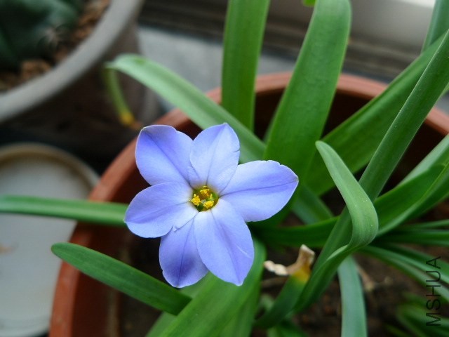 P1030820.JPG