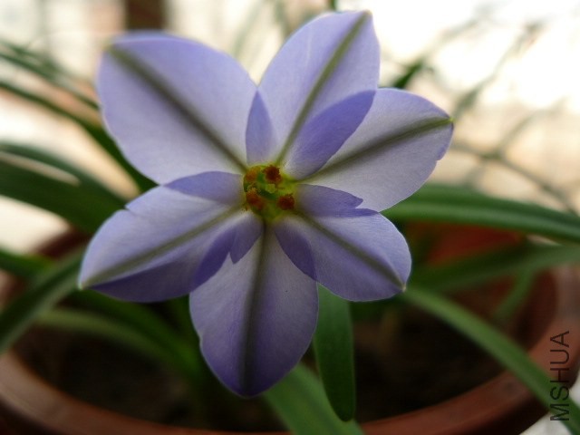 P1030836.JPG
