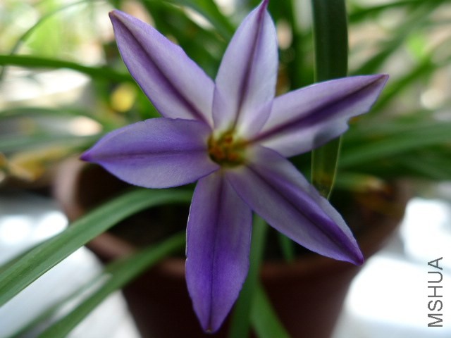 P1040060.JPG