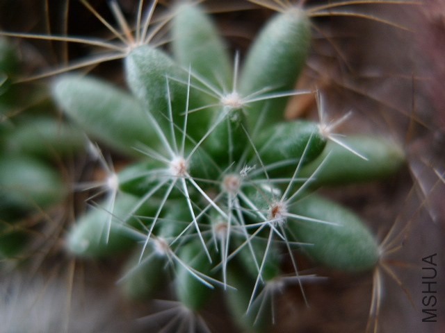 P1080741.JPG