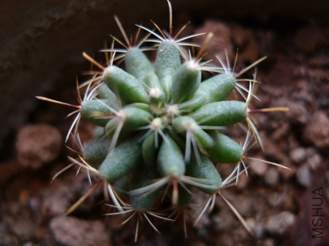 P1080739.JPG
