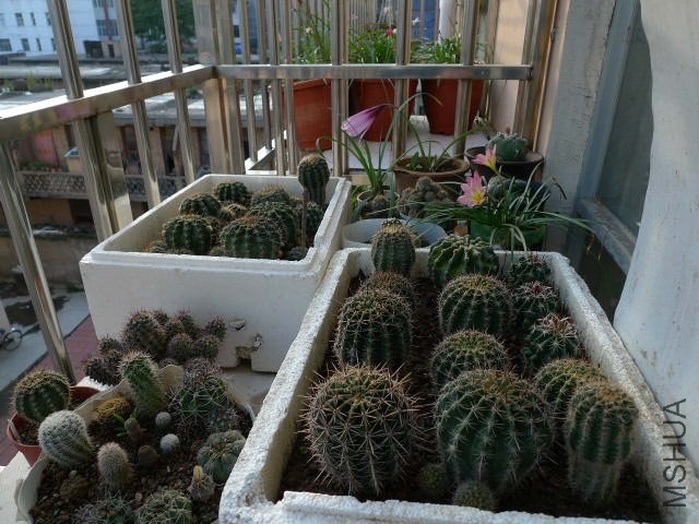 P1080695.JPG