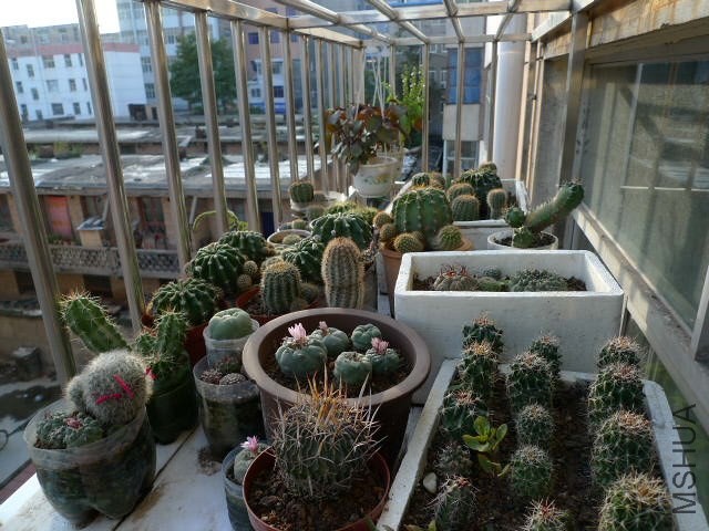 P1080698.JPG