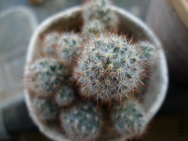 P1080747.JPG