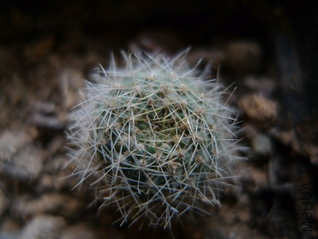 P1080745.JPG