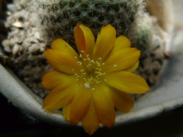 P1080118.JPG