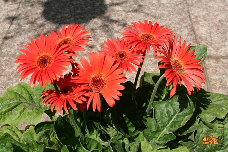 ��Ƭ 001_����.jpg