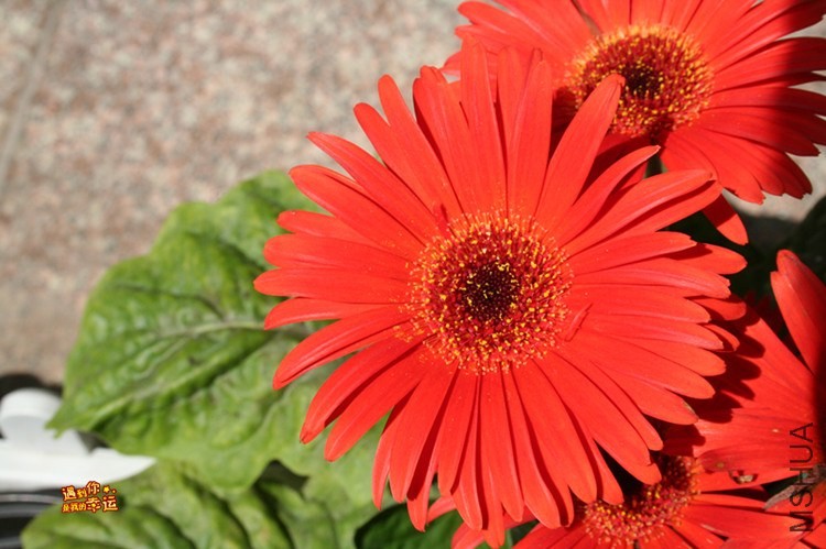 ��Ƭ 002_����.jpg