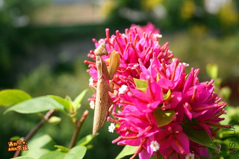 ��Ƭ 091_����.jpg