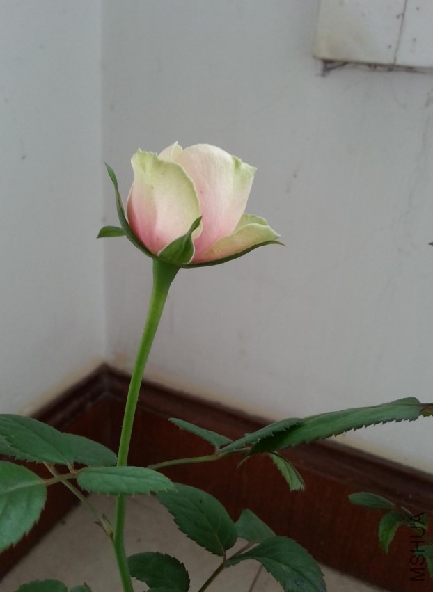 20130630_103039-����.jpg