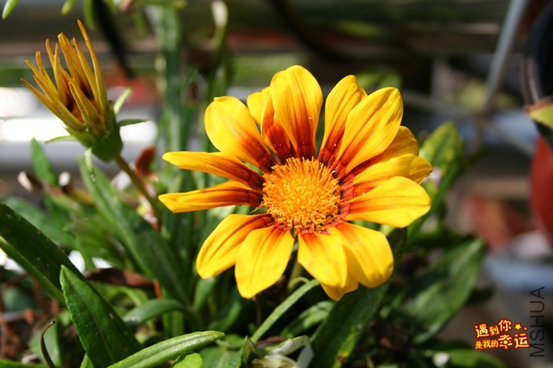 ��Ƭ 116_����.jpg