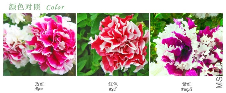 T2_5WjXadXXXXXXXXX_!!55129669.jpg