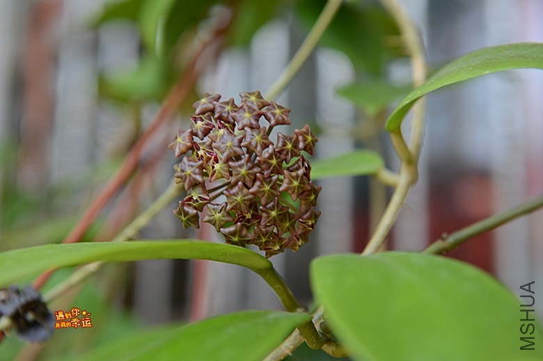 ��Ƭ 103_����.jpg