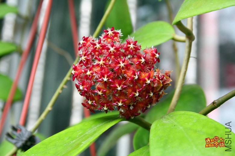 ��Ƭ 104_����.jpg