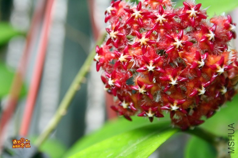 ��Ƭ 105_����.jpg