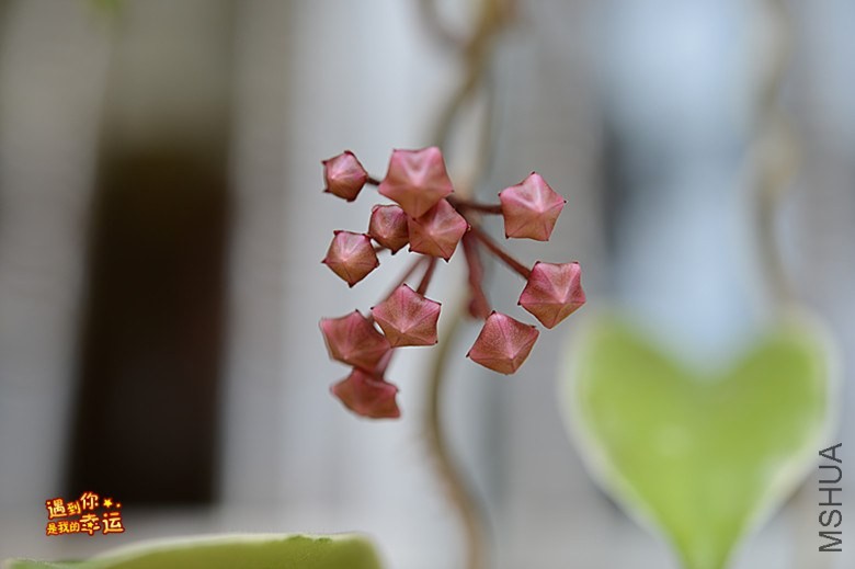 ��Ƭ 131_����.jpg