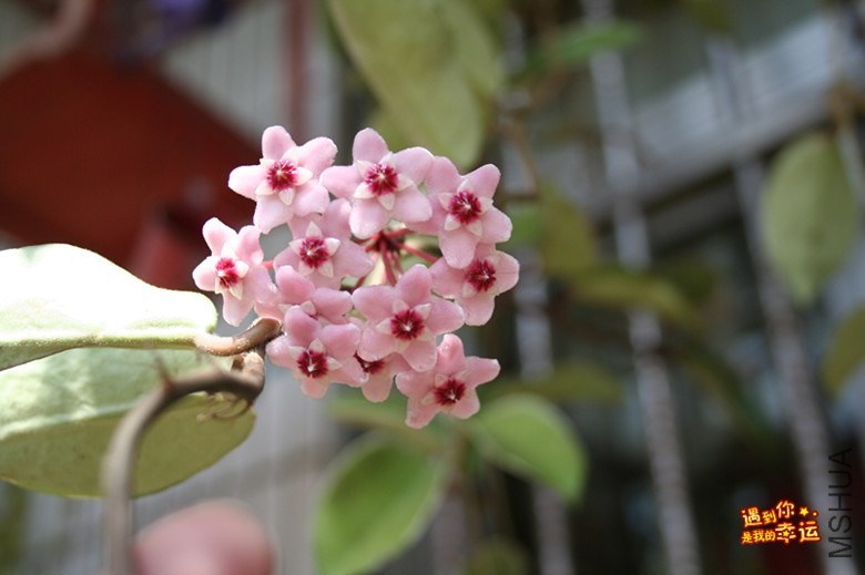 ��Ƭ 132_����.jpg