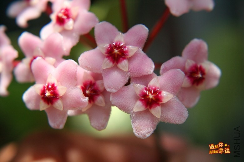 ��Ƭ 133_����.jpg