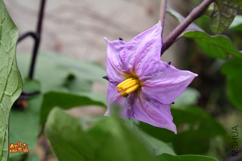 ��Ƭ 015_����.jpg