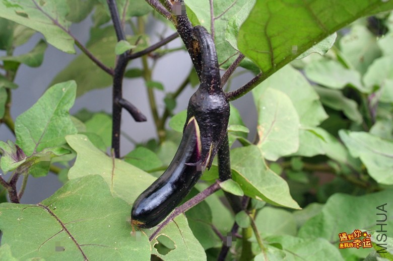 ��Ƭ 016_����.jpg