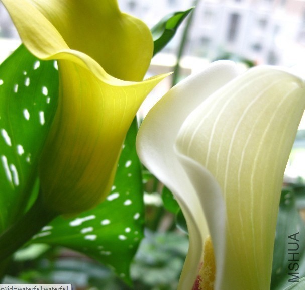 QQͼƬ20130928174943.jpg