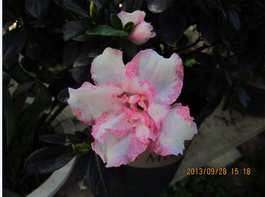 QQͼƬ20130928213350.jpg