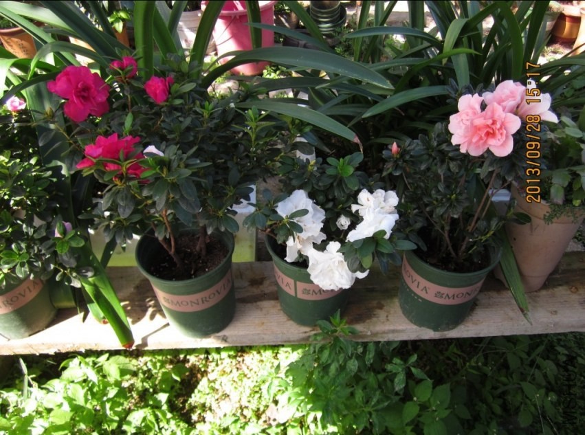 QQͼƬ20130928213358.jpg