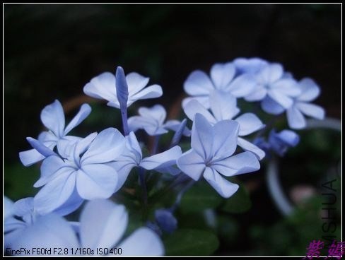 DSCF4105.jpg