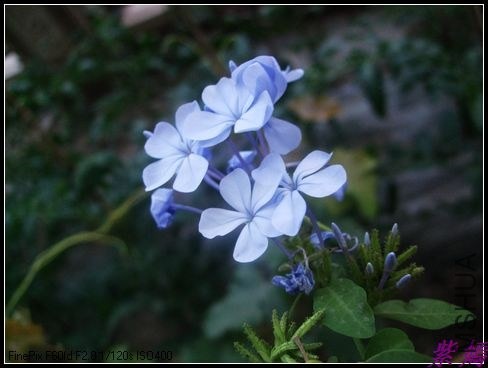 DSCF4101.jpg