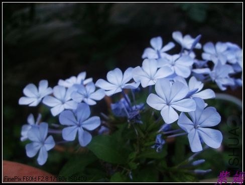 DSCF4103.jpg