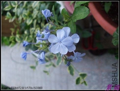 DSCF4104.jpg