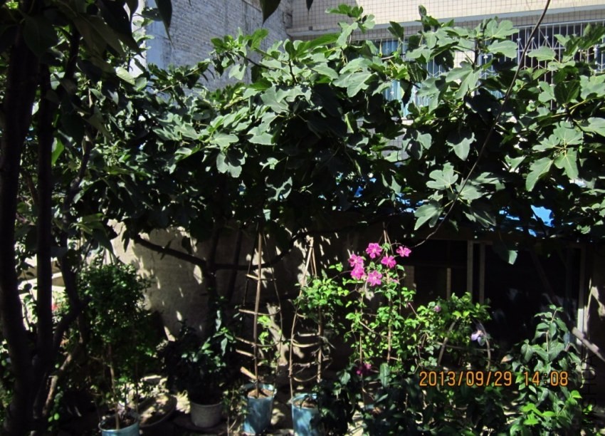 QQͼƬ20130929141717.jpg