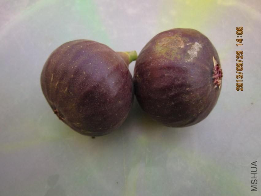 QQͼƬ20130928214846.jpg