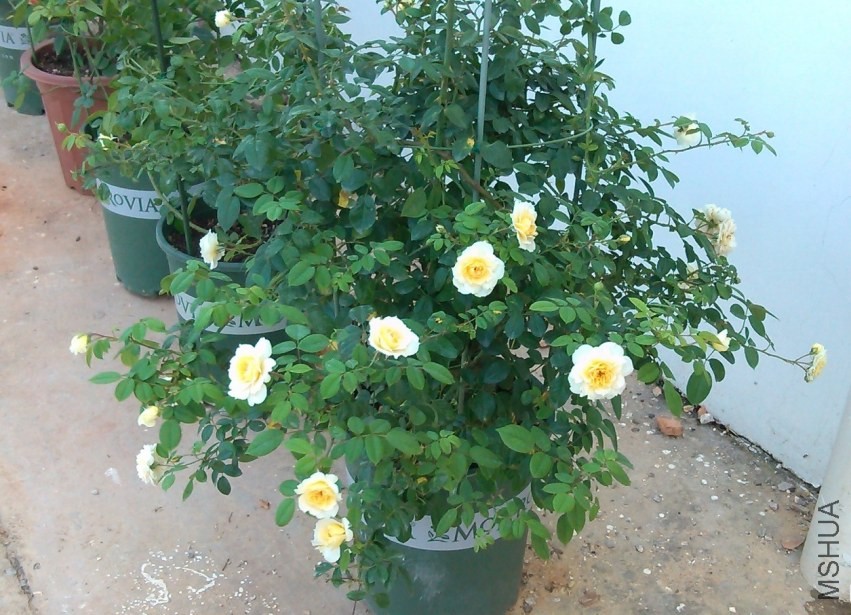 QQͼƬ20130929145134.jpg