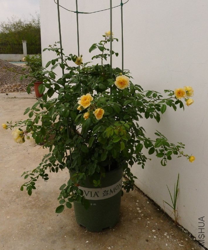 QQͼƬ20130929145351.jpg