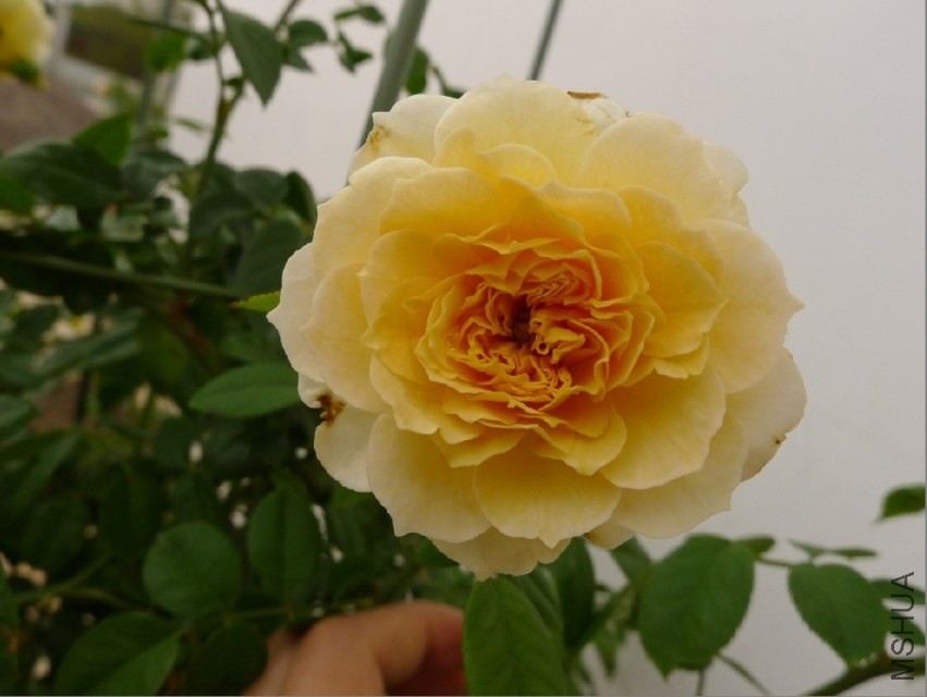 QQͼƬ20130929145417.jpg