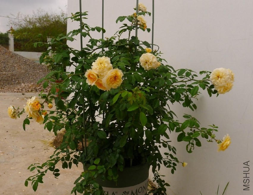QQͼƬ20130929145812.jpg