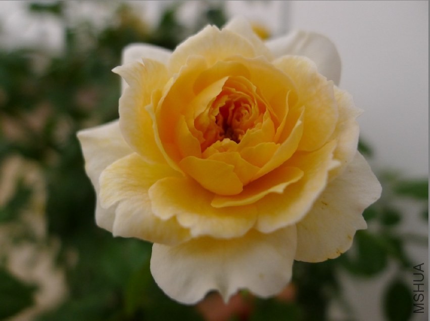 QQͼƬ20130929145905.jpg