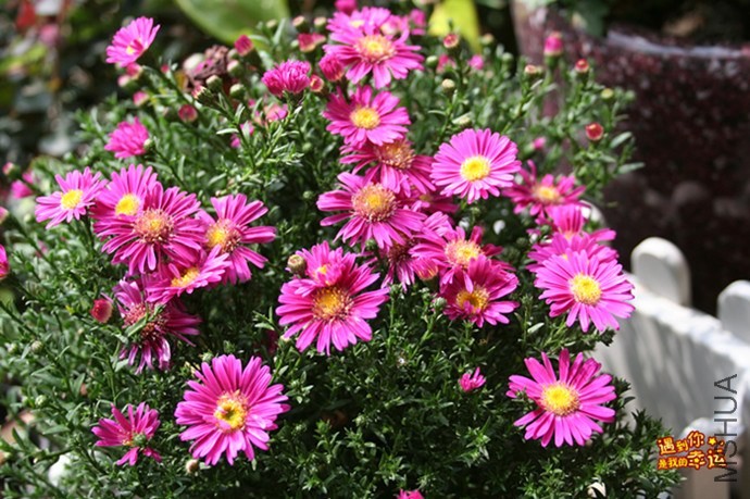 ��Ƭ 047_����.jpg