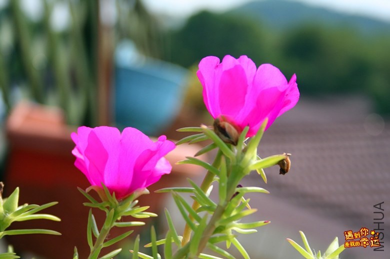 ��Ƭ 156_����.jpg