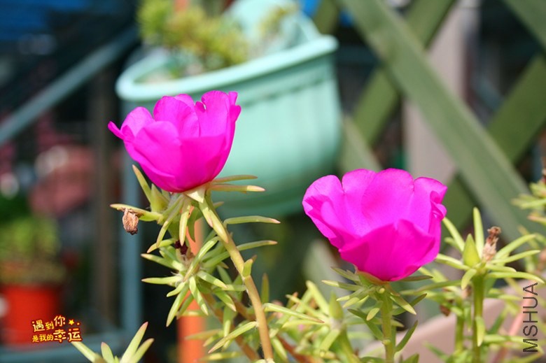 ��Ƭ 157_����.jpg