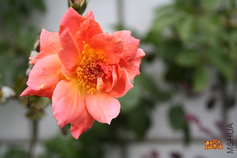 ��Ƭ 219_����.jpg