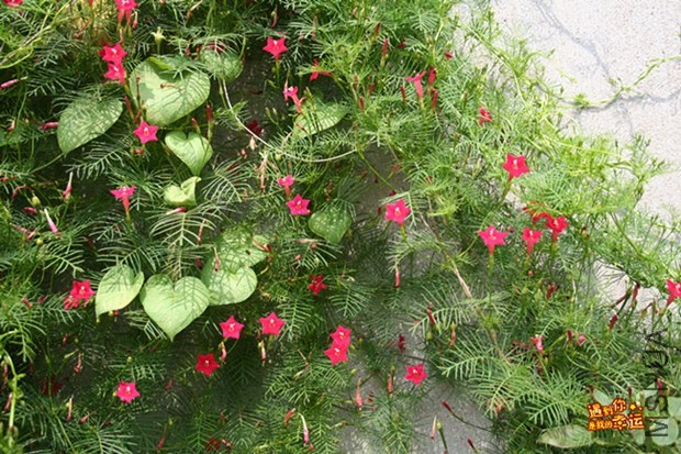 ��Ƭ 224_����.jpg