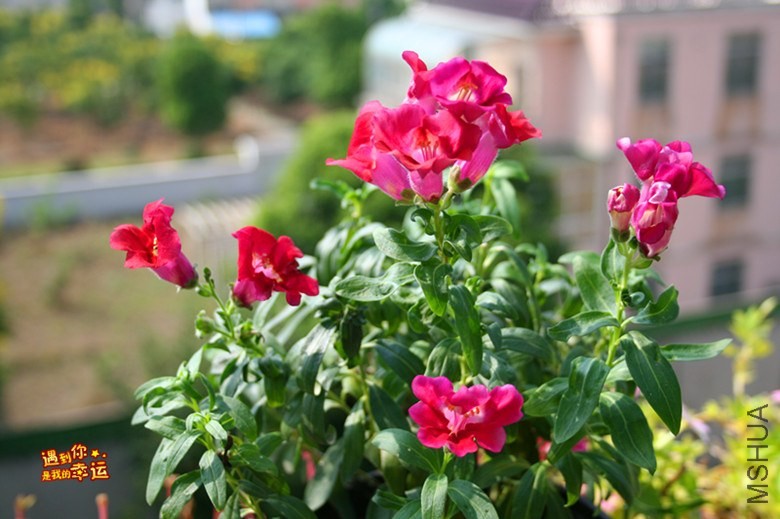 ��Ƭ 131_����.jpg