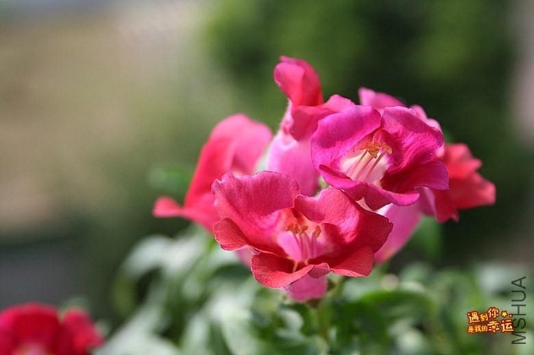 ��Ƭ 132_����.jpg