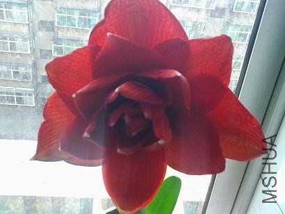 20130429_113512.jpg