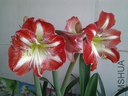 20130501_073150.jpg