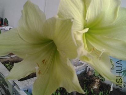 20130413_145611.jpg